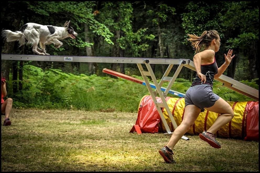 Marie Crespy lors d'un concours d'agility avec son chien