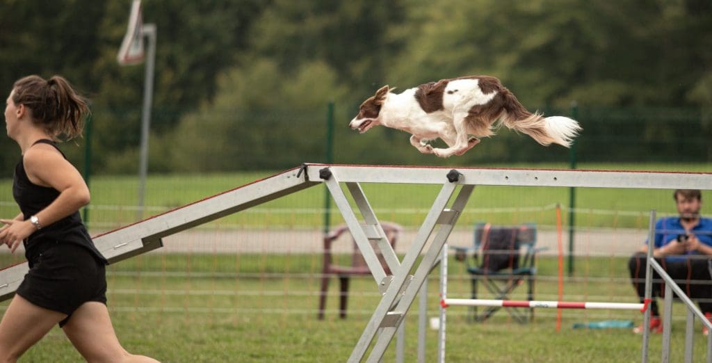 Marie Crespy lors d'un concours d'agility avec son chien
